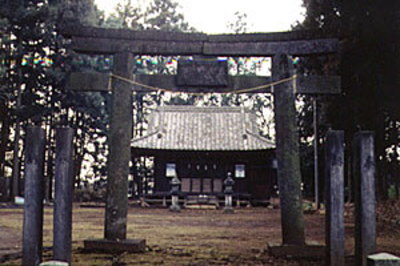 鷲神社鳥居の画像