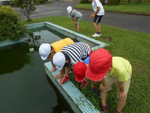 池の様子1年4人