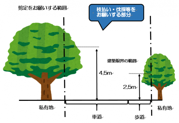 立木の管理について