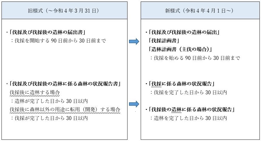 伐採期限
