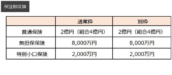 保証限度額