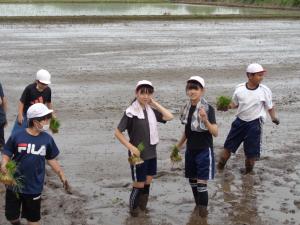 R5田植え(2)