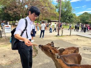 R5修学旅行写真(1)鹿