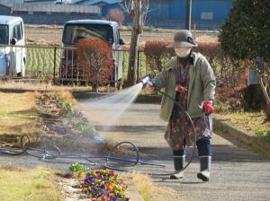 花壇の手入れ