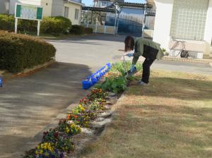 花壇の手入れ１