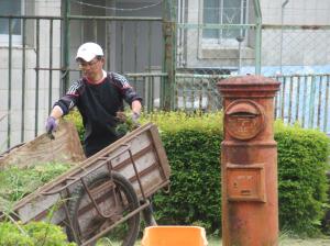 R7　庭木剪定＆運動会準備４
