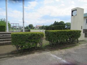 R7　庭木剪定＆運動会準備５
