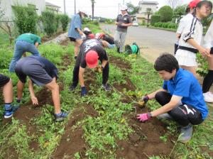 R7　じゃがいも収穫４