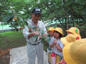 R7　２年町探検３