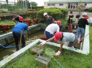 R7　池掃除大作戦４