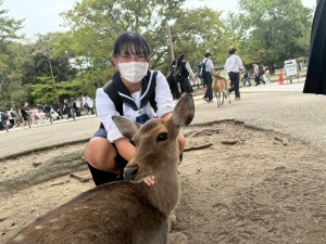 奈良公園東大寺(3)