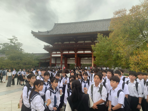 奈良公園東大寺(10)