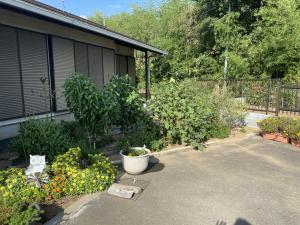 10月菜園