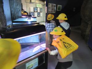 R7 1年校外学習小貝川ふれあい公園7