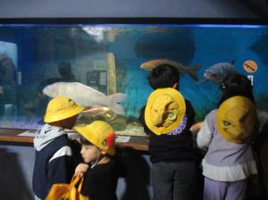 R7 1年校外学習小貝川ふれあい公園8