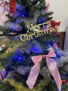 クリスマスツリーアップ