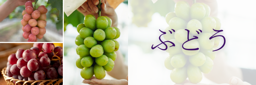 ぶどうバナー