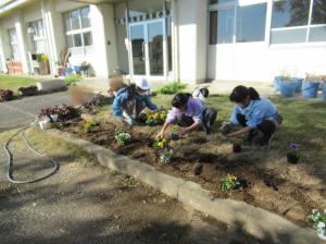 R7　花の苗植え４