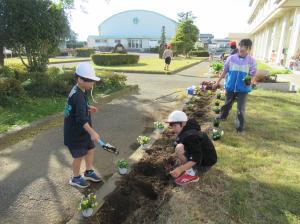 R7　花の苗植え５