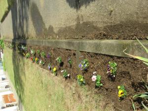 R7　花の苗植え６