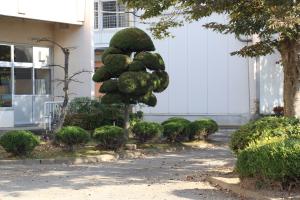 R7庭木クラブ(2)