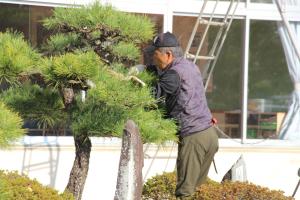 R7庭木クラブ(3)