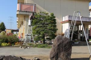 R7庭木クラブ(4)