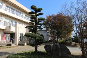 R7庭木クラブ(7)