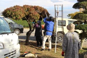 R7庭木クラブ(8)