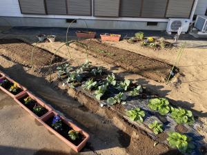 サロン菜園12月