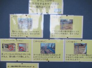 R8 保健委員会ケガマップ3