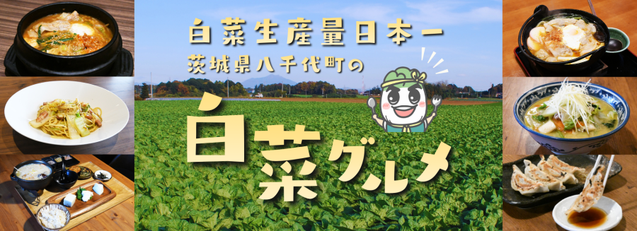 白菜グルメバナー