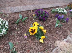 R8　春の訪れ２