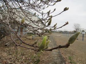 R8　春の訪れ５