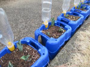 R8　春の訪れ６