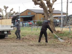 R8　校庭の樹木伐採３