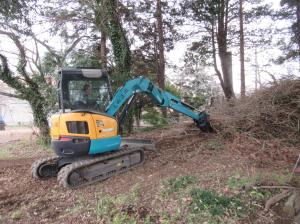 R8　校庭の樹木伐採４