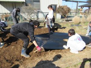R8　５年生ジャガイモの種芋植え３
