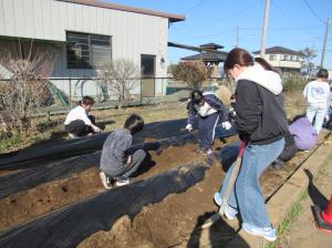 R8　５年生ジャガイモの種芋植え４