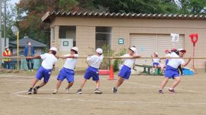 運動会綱引き白