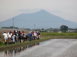 R8 田植え4