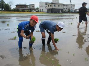 R8 田植え6