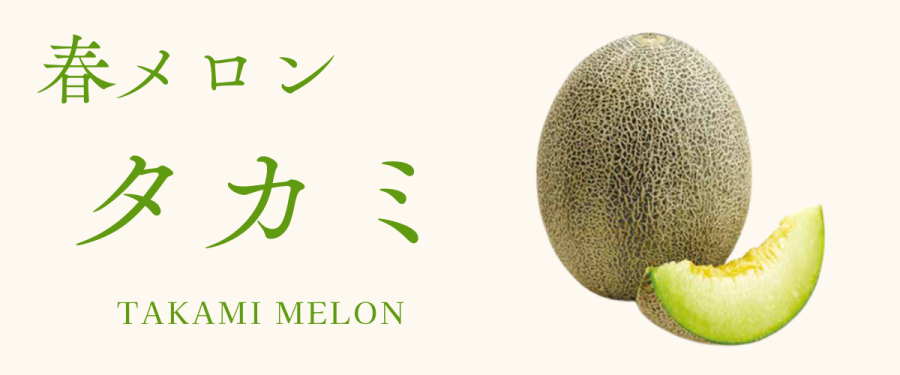 メロン(春)