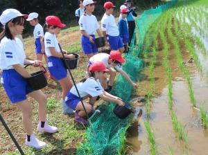 061602