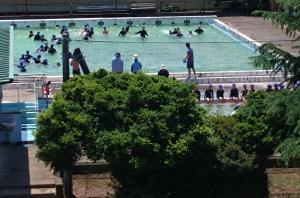 水泳学習