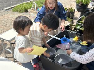 メダカすくい