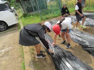 R8　さつまいもプロジェクト１