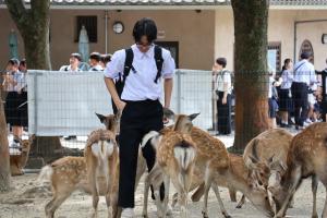 9.16修学旅行７